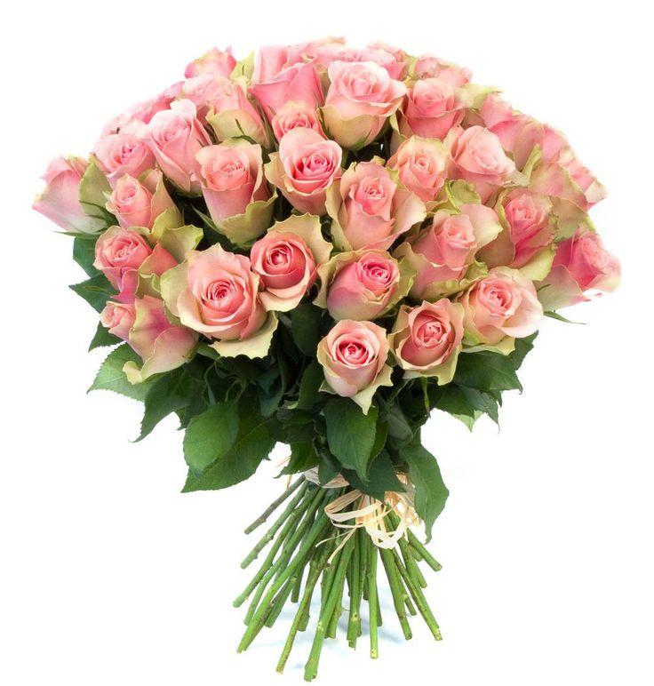 Corporate meeting room with carefully timed floral arrangements that maintain elegance throughout business hours